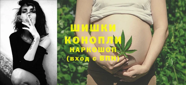 крисы Зеленодольск