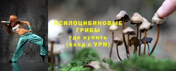 дурь Зеленокумск