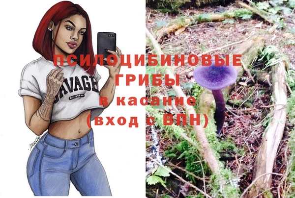 a pvp Зерноград