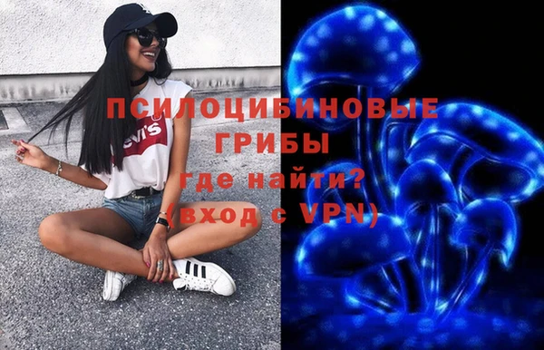 дурь Зеленокумск