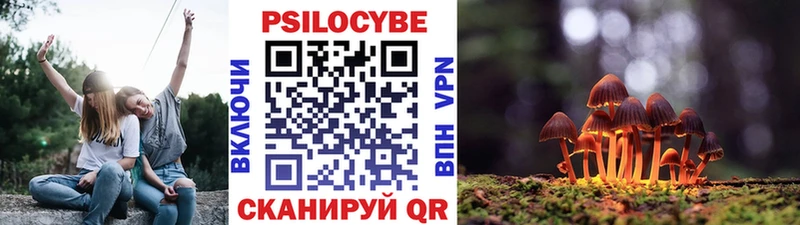 Галлюциногенные грибы Psilocybine cubensis  Купить закладки  Фёдоровский 